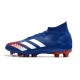 Adidas Predator Mutator 20.1 AG Blue White Orange Soccer Cleats