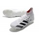 Adidas Predator Mutator 20.1 AG White Black Soccer Cleats