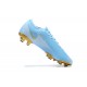 Nike Mercurial Vapor VII 13 Elite FG Blue Gold White Low-top For Men Soccer Cleats