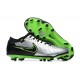 Nike Tiempo Legend 10 Elite FG Low-Top Sliver Green Black Men Soccer Cleats